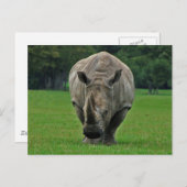 カバ葉書 ポストカード (正面/裏面)