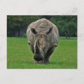 カバ葉書 ポストカード (正面)