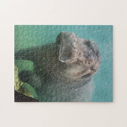 カバ4 ジグソーパズル (横)