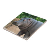 カバ6 タイル (側面)