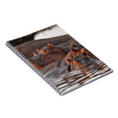 カバ,カバ,両生類,湖 ノートブック (右側)