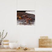 カバ，カバ，両生類，湖 ポスター (キッチン)