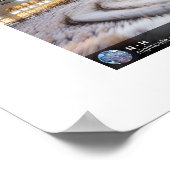 カバ ポスター (角)