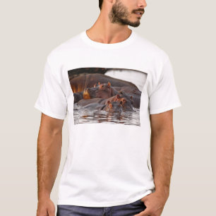 カバ, Hippopotamus amphibius, 湖 Tシャツ