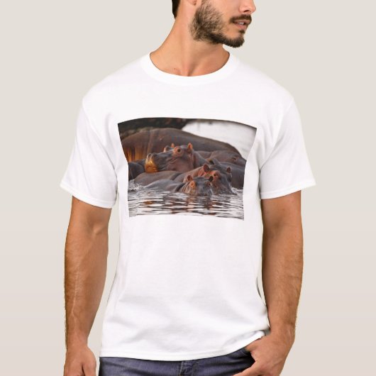 カバ, Hippopotamus amphibius, 湖 Tシャツ (正面)
