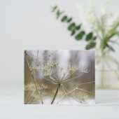 カパセリ葉書 ポストカード (スタンド正面)