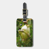 カパネアグランディフローラ ラゲッジタグ (正面縦)