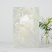 カパネアグランディフローラ 便箋 (スタンド正面)