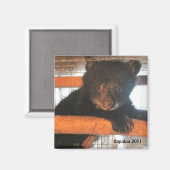 カパルア2011磁石 マグネット (正面/裏面)