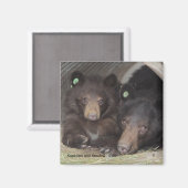 カピオラニとシャドー – 角磁石 マグネット (正面/裏面)