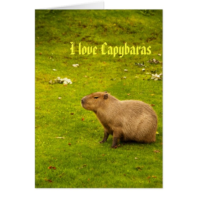 カピバラが大好きなカード (正面)