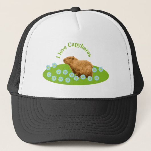 カピバラが大好き キャップ (正面)