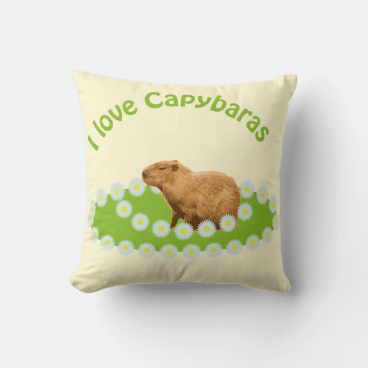 カピバラが大好き クッション (正面)
