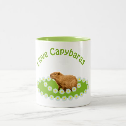 カピバラが大好き ツートーンマグカップ (中央)