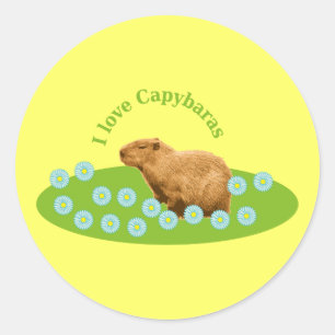 カピバラが大好き ラウンドシール