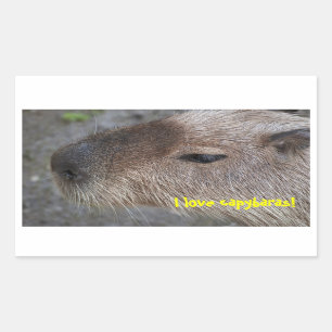 カピバラが大好き 長方形シール