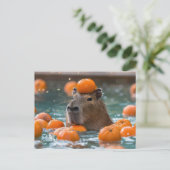 カピバラとオレンジ浮動 ポストカード (スタンド正面)