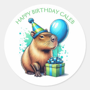 カピバラのテーマの男の子の誕生日パーティー ラウンドシール