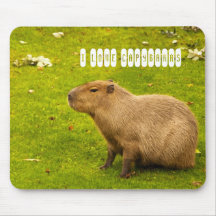 カピバラのマウスパッドが大好きです