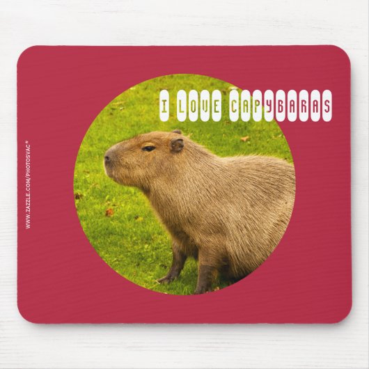 カピバラのマウスパッドが大好きです マウスパッド (正面)
