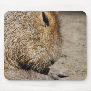 カピバラのマウスパッド マウスパッド