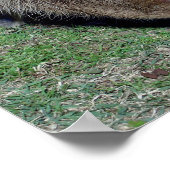 カピバラの尻–2 ポスター (角)