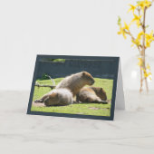 カピバラの挨拶状- Capyの誕生日 カード (黄色い花)
