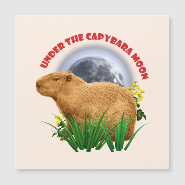 カピバラの月を仰いで 面白いカピバラ (正面)