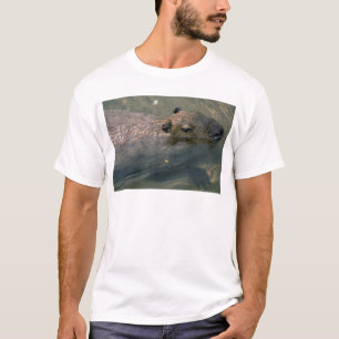 カピバラの水泳 Tシャツ