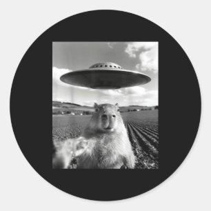 カピバラの自撮りとUFO 楽しいカピバラ カピバラ ラウンドシール