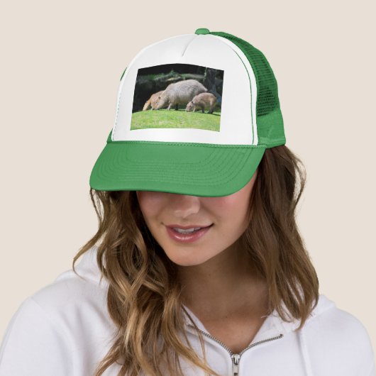 カピバラス放牧 キャップ (インサイチュ)