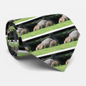 カピバラス放牧 ネクタイ (ロール)