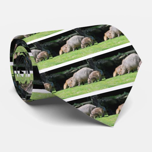 カピバラス放牧 ネクタイ (ロール)
