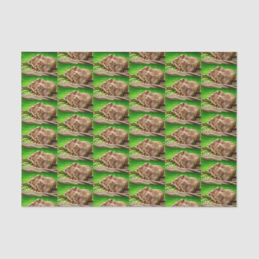 カピバラトリオ 薄葉紙 (正面)