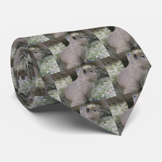 カピバラバベイ ネクタイ (ロール)