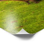 カピバラフォトプリント フォトプリント            (角)