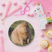 カピバラプレート ペーパープレート (パーティー)