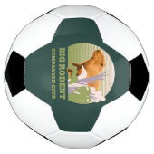 カピバラ仲間クラブ サッカーボール (回転)