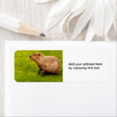 カピバラ差出人住所ラベル ラベル (インサイチュ)