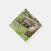 カピバラ水草 スタンダードカクテルナプキン (角)