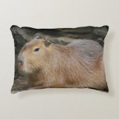 カピバラ7 アクセントクッション (正面)
