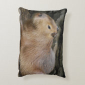 カピバラ7 アクセントクッション (裏面(縦))