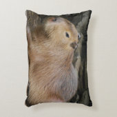 カピバラ7 アクセントクッション (正面(垂直))