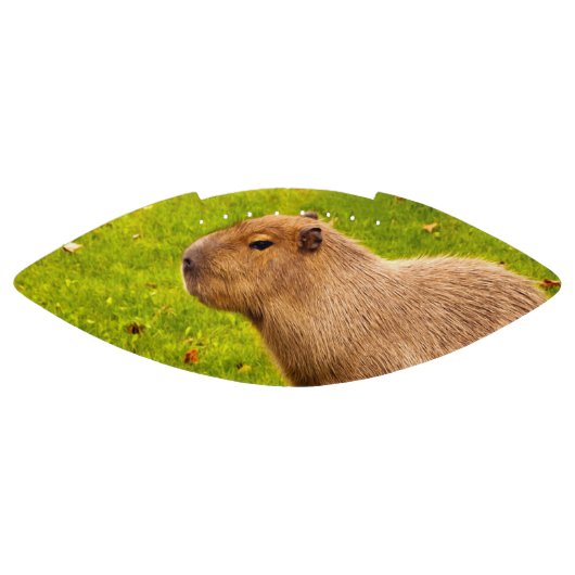 カピバラ アメリカンフットボール (パネル)