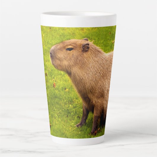 カピバラ カフェラテマグ (正面)