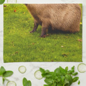 カピバラ キッチンタオル (折り畳み)