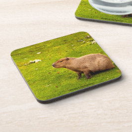 カピバラ コースター