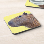 カピバラ コースター (左側)