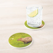 カピバラ コースター (側面)