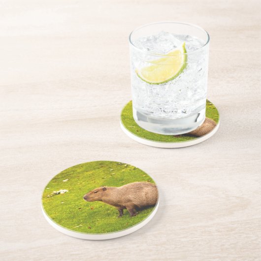 カピバラ コースター (側面)